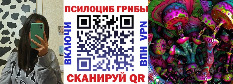 гидра ТОР площадка Telegram Галлюциногенные грибы Cubensis Кирсанов